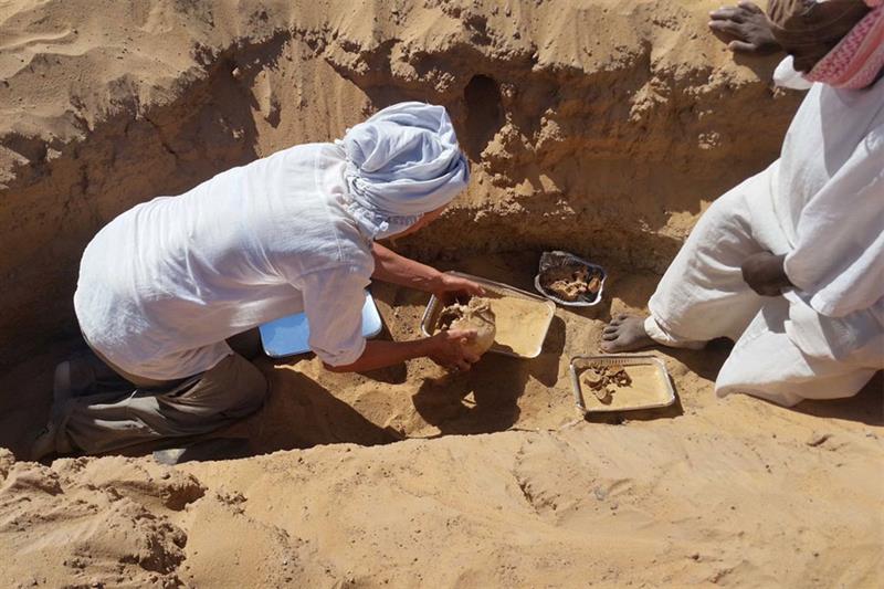 روماتیسم مفصلی در مصر باستان
